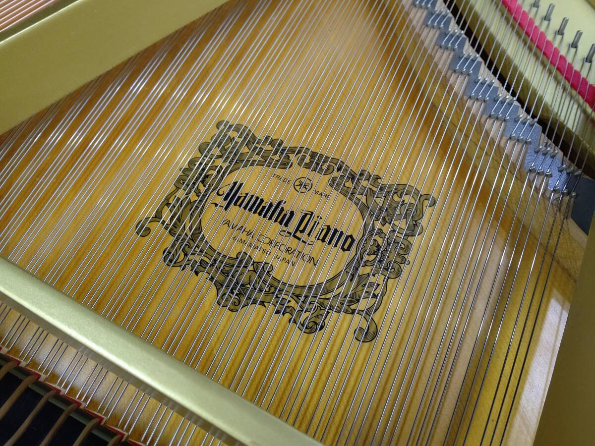 ヤマハ G3B 【美品/フルリニューアル/1988年製】 現品確認/試弾歓迎です! YAMAHA (和歌山/中古ピアノ)_画像7
