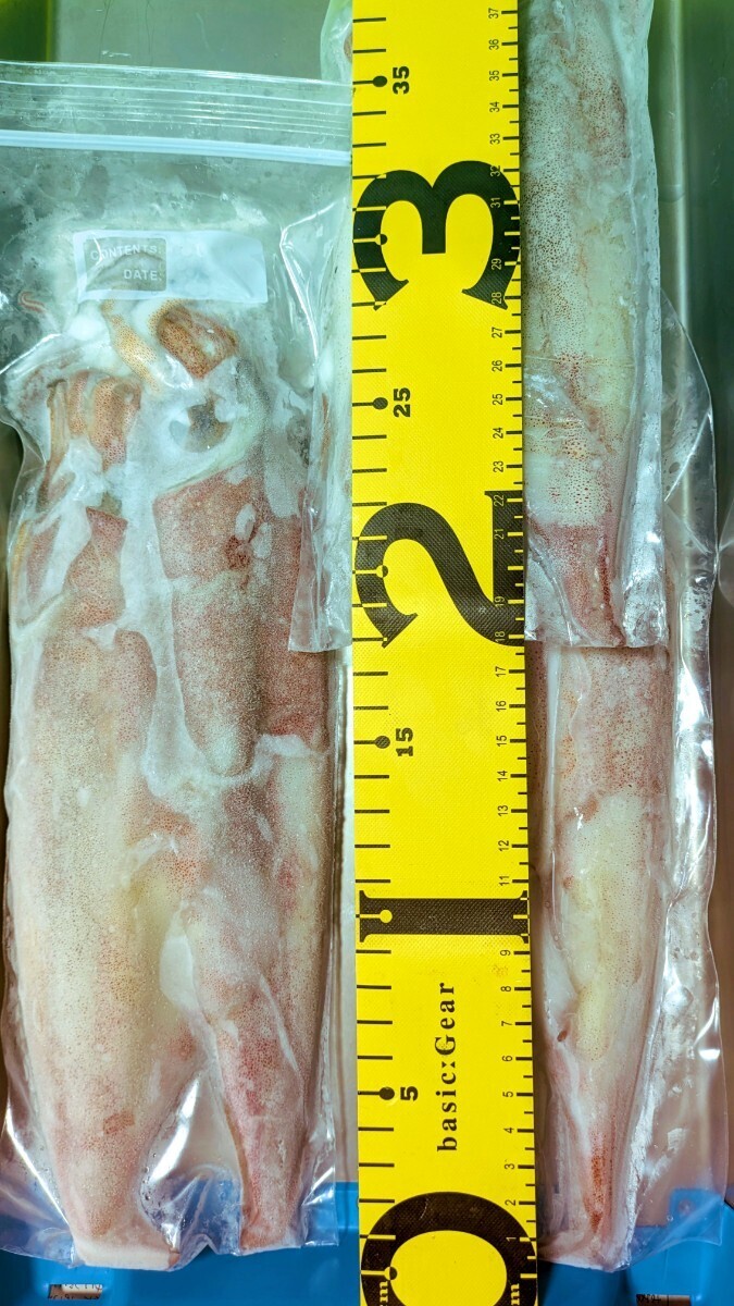 ☆鮮度抜群☆シロイカ（剣先）大〜中サイズ　冷凍2kgセット（鳥取県産）2025年10月以降釣り上げ分_画像4