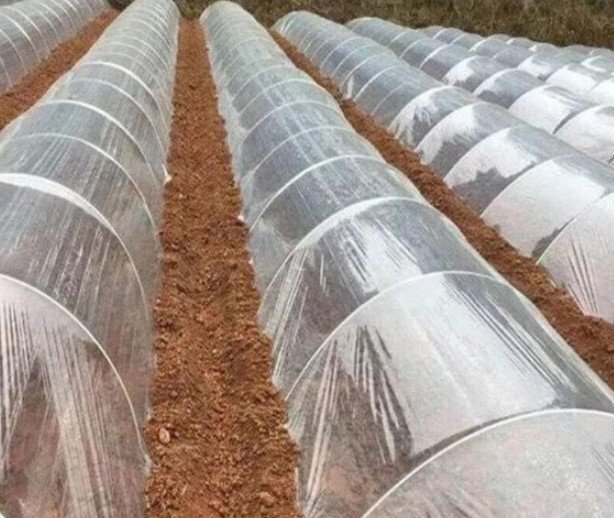  высокое качество прозрачный пластик плёнка крыша для парник изменение сиденье небо занавес PE покрытие толщина 0.12mm. долговечность las шик плёнка растения культивирование ширина 8m× длина 10m