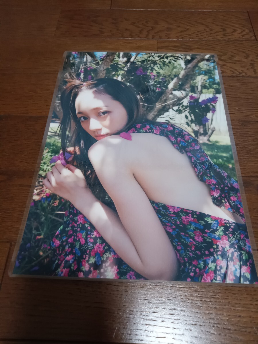 ★厚手ラミネート加工 150μ 切り抜き★ 梅澤美波 乃木坂46 8ページ A4サイズ 10_画像5