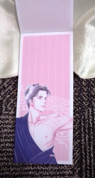 メロディ付録 大奥 絢爛 御祐筆帖&有功 家光 麗し 一筆箋 送料込み_画像5