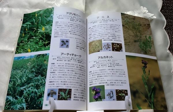 ジョイ・オブ・ハーブス ハーブを楽しむ暮らし 鷹谷宏幸 送料込み_画像3