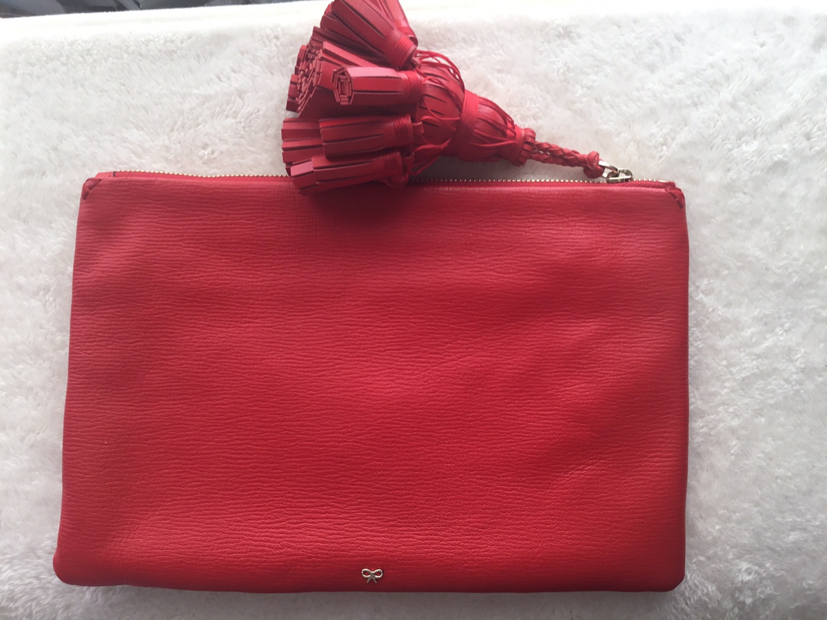 アニヤハインドマーチ ANYA HINDMARCH DAZ クラッチバッグ レザー タッセル 箱付 美品 希少_画像3