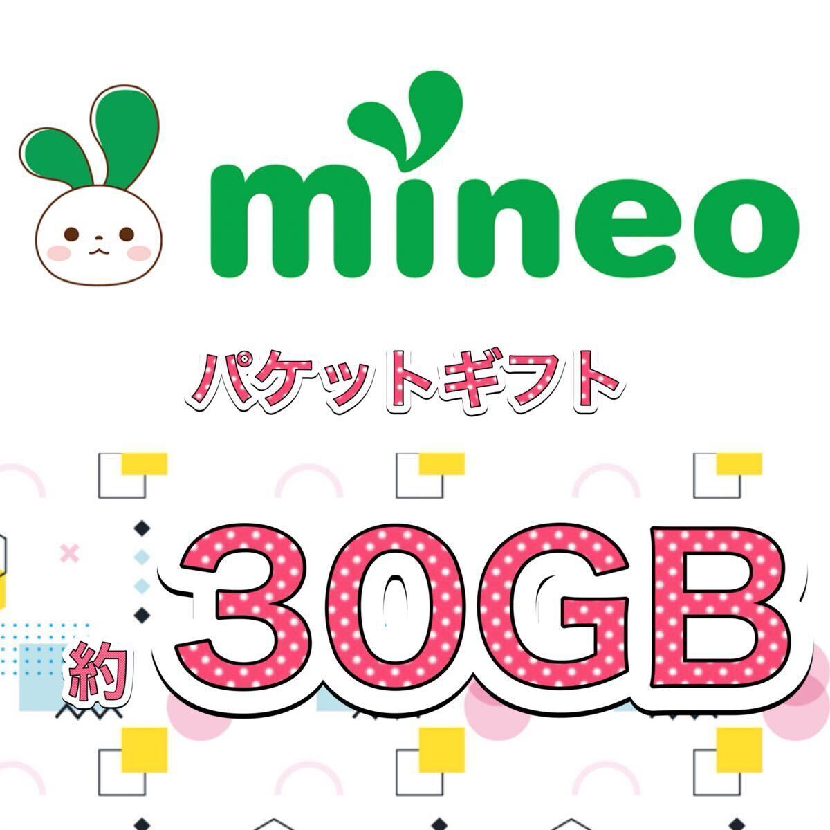 mineoマイネオ パケットギフト 30gb!_画像1