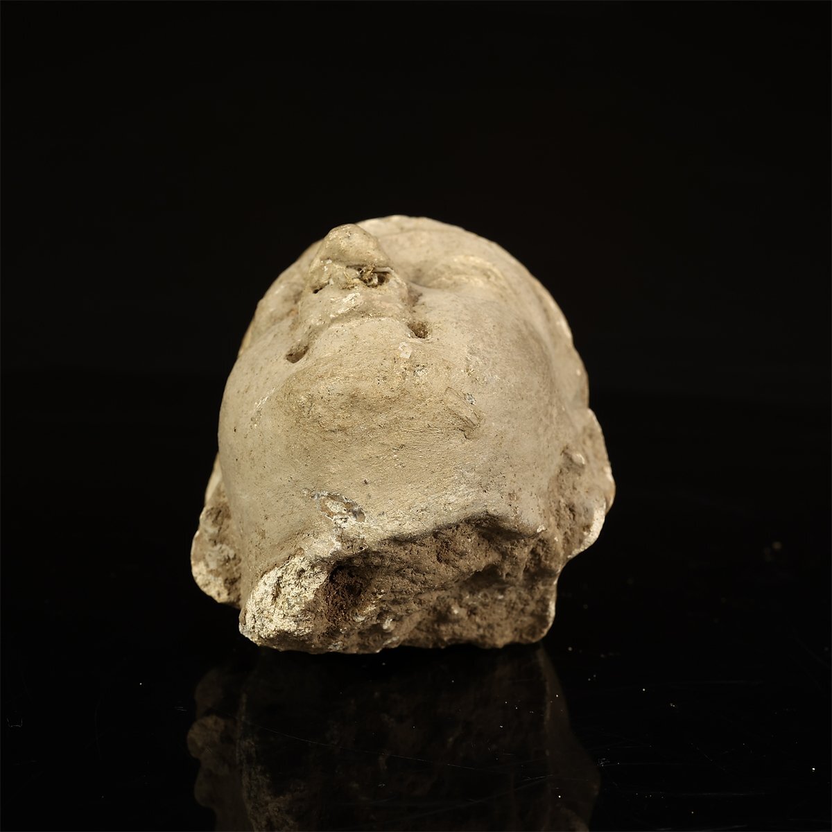 [.]IA912 буддизм изобразительное искусство 2 век takisila. земля gun da- последний ko.. голова изображение Будды | подлинный товар гарантия товар Ig!