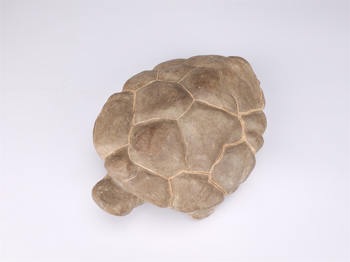 [.]IA851 бонсай Япония камень суйсеки натуральный камень черепаха форма украшение -слойный 5291g| прекрасный товар Ig!