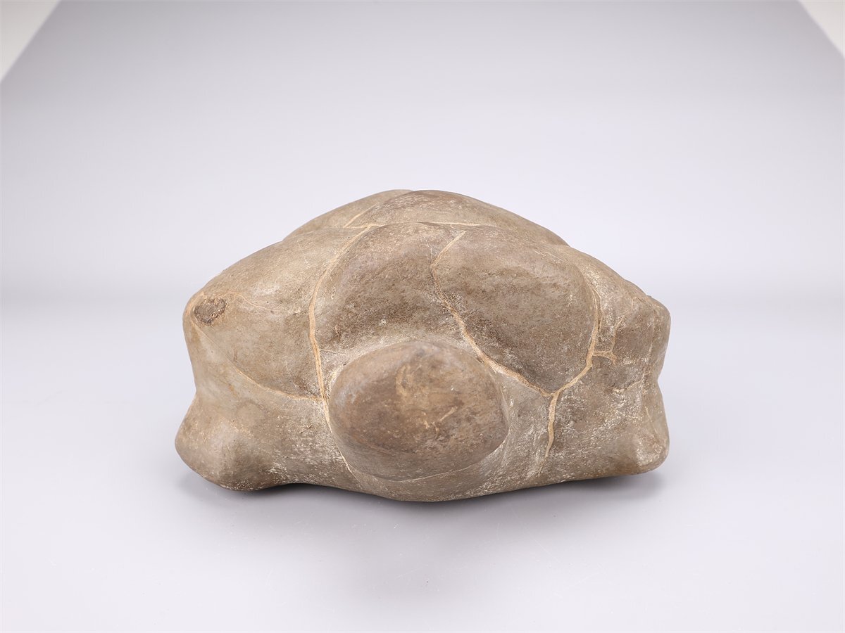 [.]IA851 бонсай Япония камень суйсеки натуральный камень черепаха форма украшение -слойный 5291g| прекрасный товар Ig!