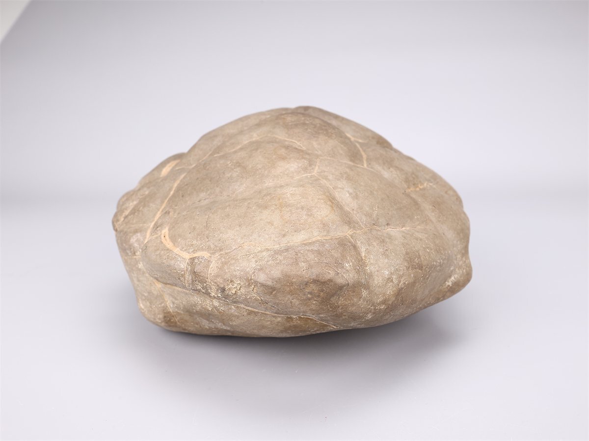 [.]IA851 бонсай Япония камень суйсеки натуральный камень черепаха форма украшение -слойный 5291g| прекрасный товар Ig!