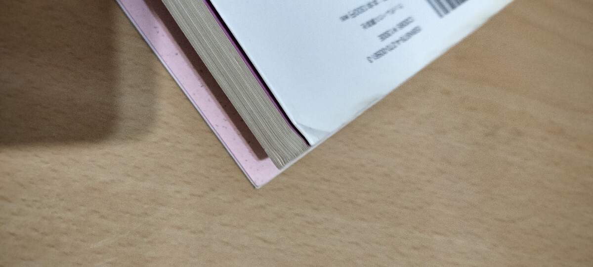 【本】パパイヤ鈴木　デブでした。ダイエット　送料無料_画像6