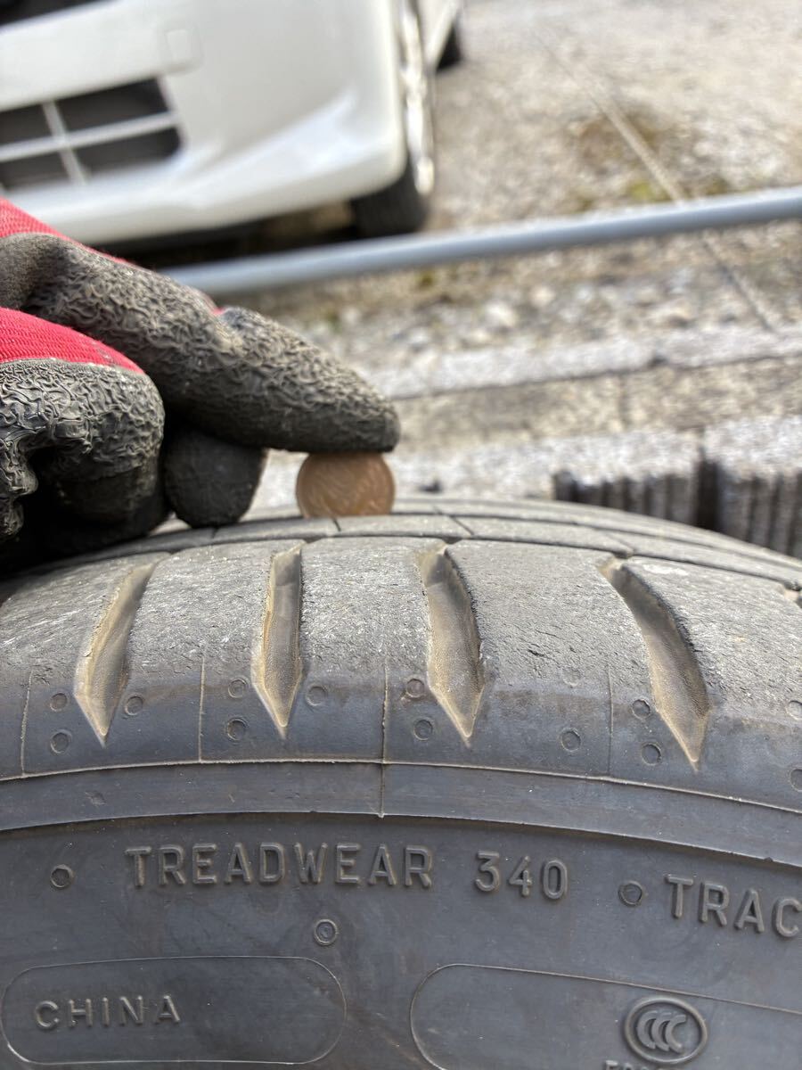 ウェッズレオニス　8J ＋42_画像6