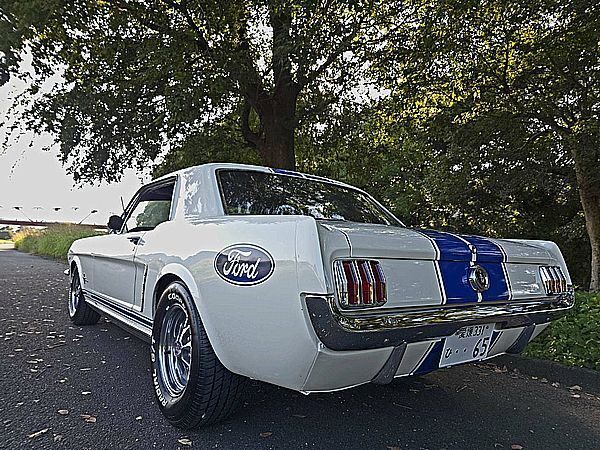 ◇1965y MUSTANG 完成 売切り ◇ _画像3