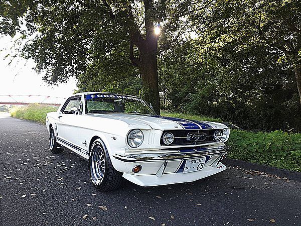 ◇1965y MUSTANG 完成 売切り ◇ _画像6