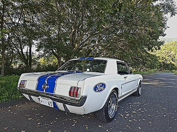◇1965y MUSTANG 完成 売切り ◇ _画像7