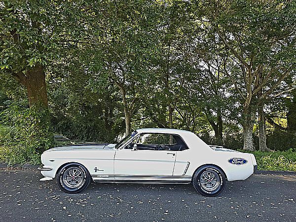 ◇1965y MUSTANG 完成 売切り ◇ _画像8