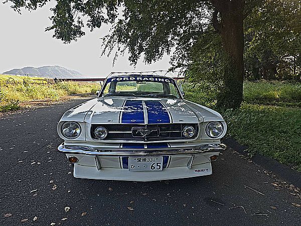 ◇1965y MUSTANG 完成 売切り ◇ _画像9