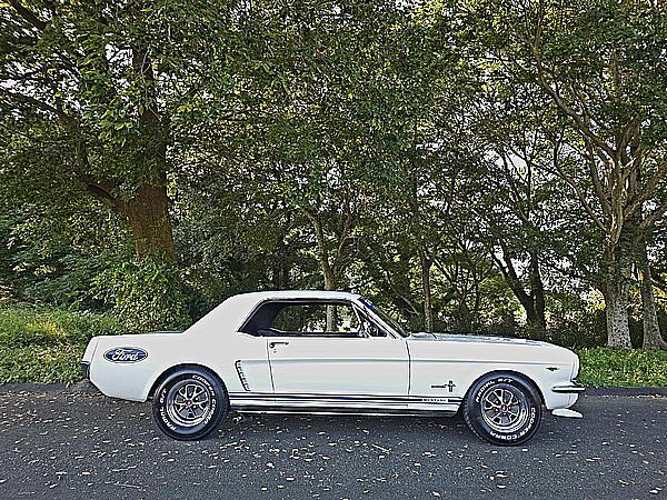 ◇1965y MUSTANG 完成 売切り ◇ _画像10