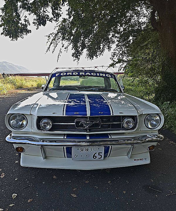 ◇1965y MUSTANG 完成 売切り ◇ _画像2