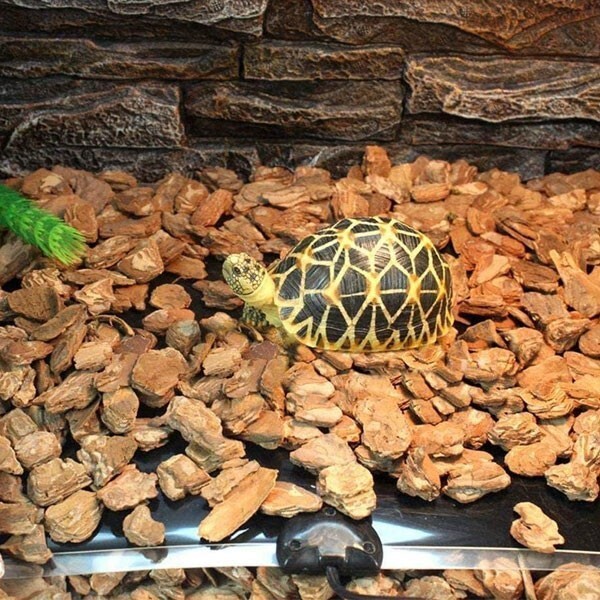 бесплатная доставка панельный обогреватель рептилии черепаха мелкие животные водонепроницаемый теплоизоляция мульти- обогреватель обогрев сидений обогреватель коврик хомяк заяц или .(8)