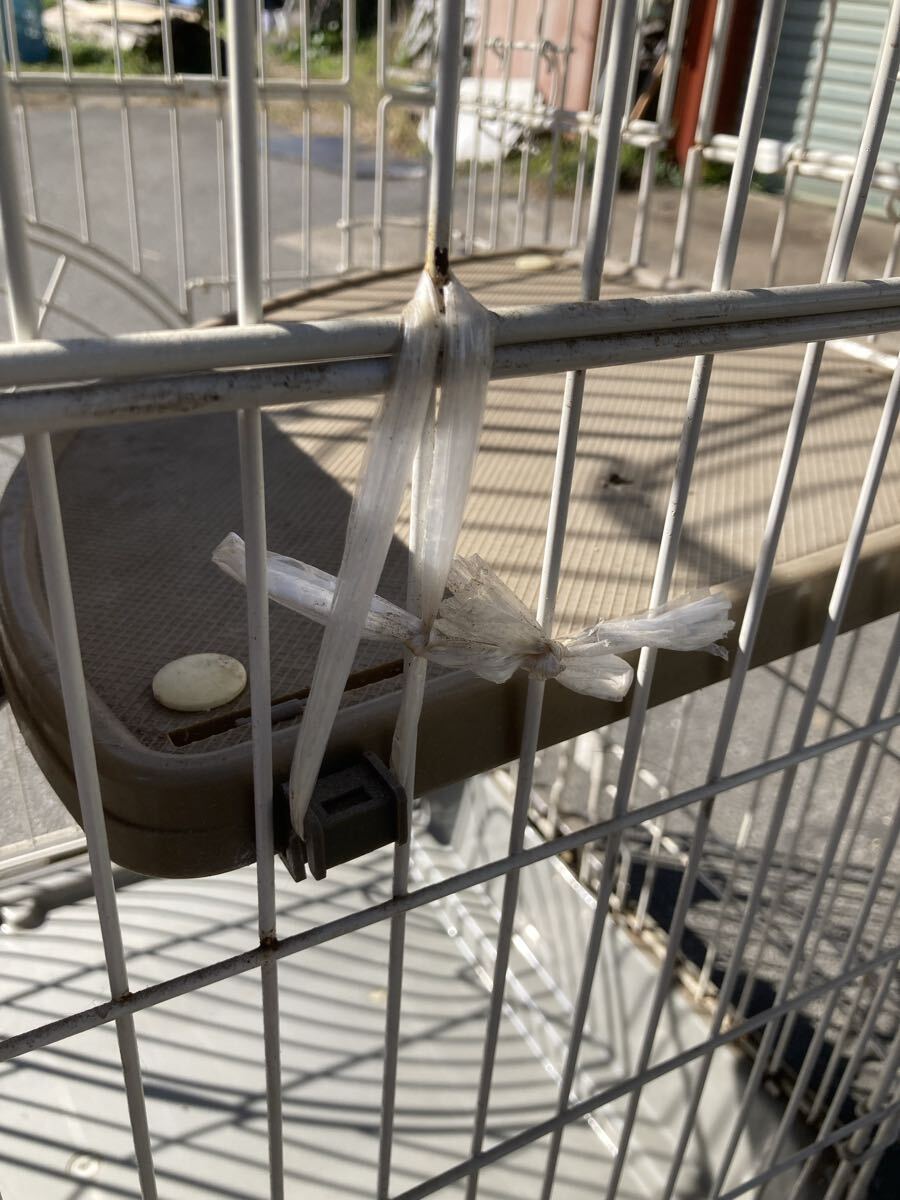 長野県東御市直接引き渡し限定　ペットケージ ケージ ホワイト　キズ　汚れ　使用感あり_画像6