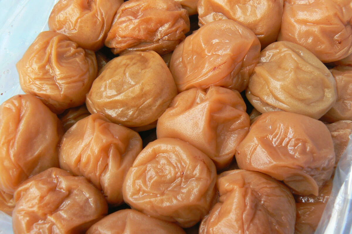 「昔ながらの すっぱい梅干」大粒 １ｋｇ 紀州みなべ産 2025_画像1