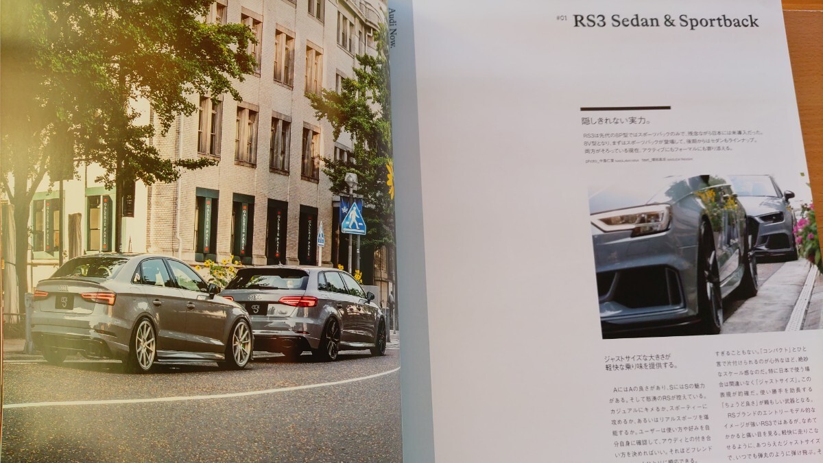 即決エスフォー保存版 アウディ カスタムの世界・AUDI 8V RS3 セダン&スポーツバック・FV/8S TT RSロードスター/TTロードスター/balance it_画像3