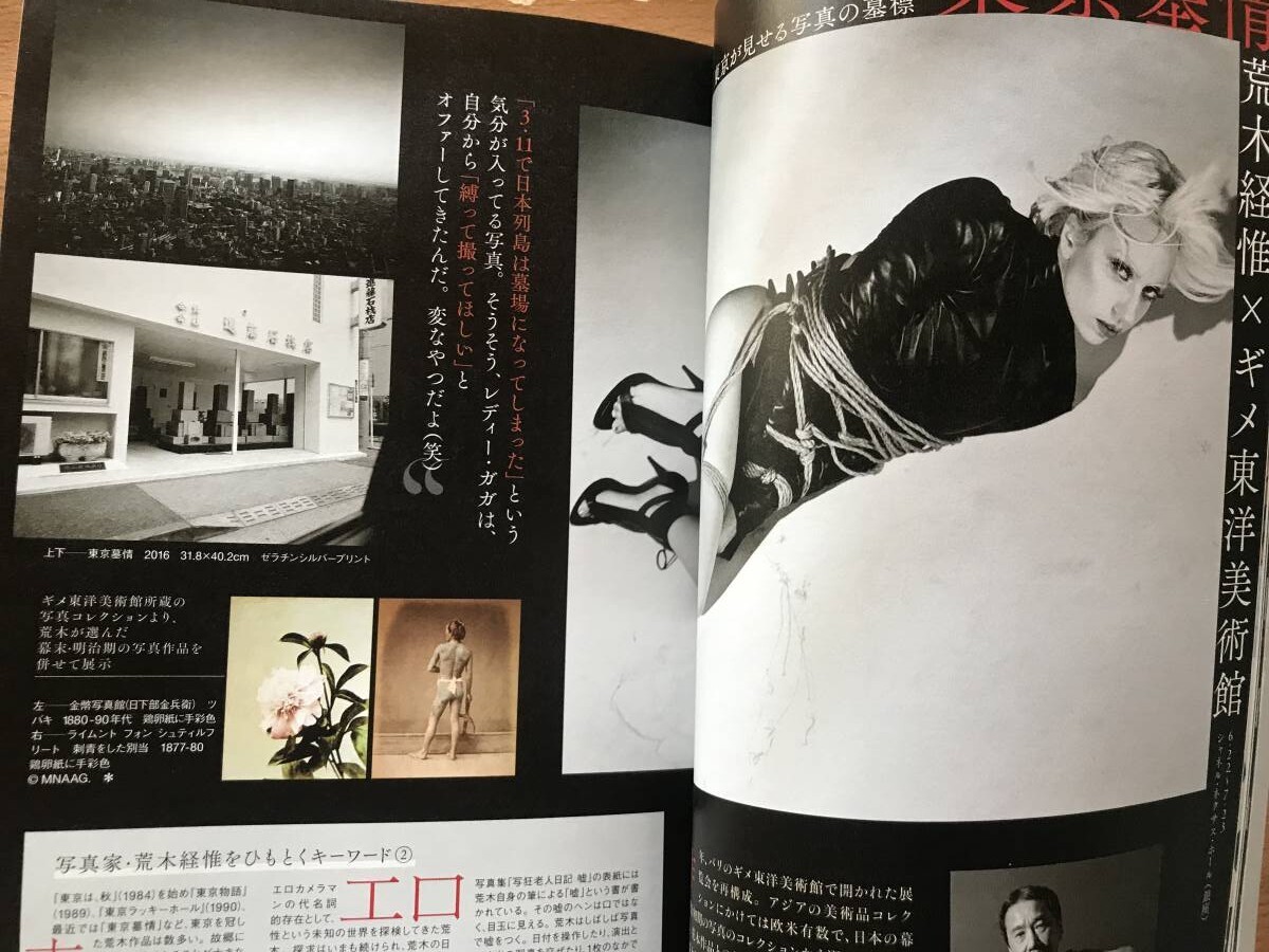 即決 美術手帖保存版 77年目のアラーキー 荒木経惟 Nobuyoshi Araki センチメンタルな旅 1971-2017/レディ・ガガ/写狂老人/花遊園/花幽園_画像4