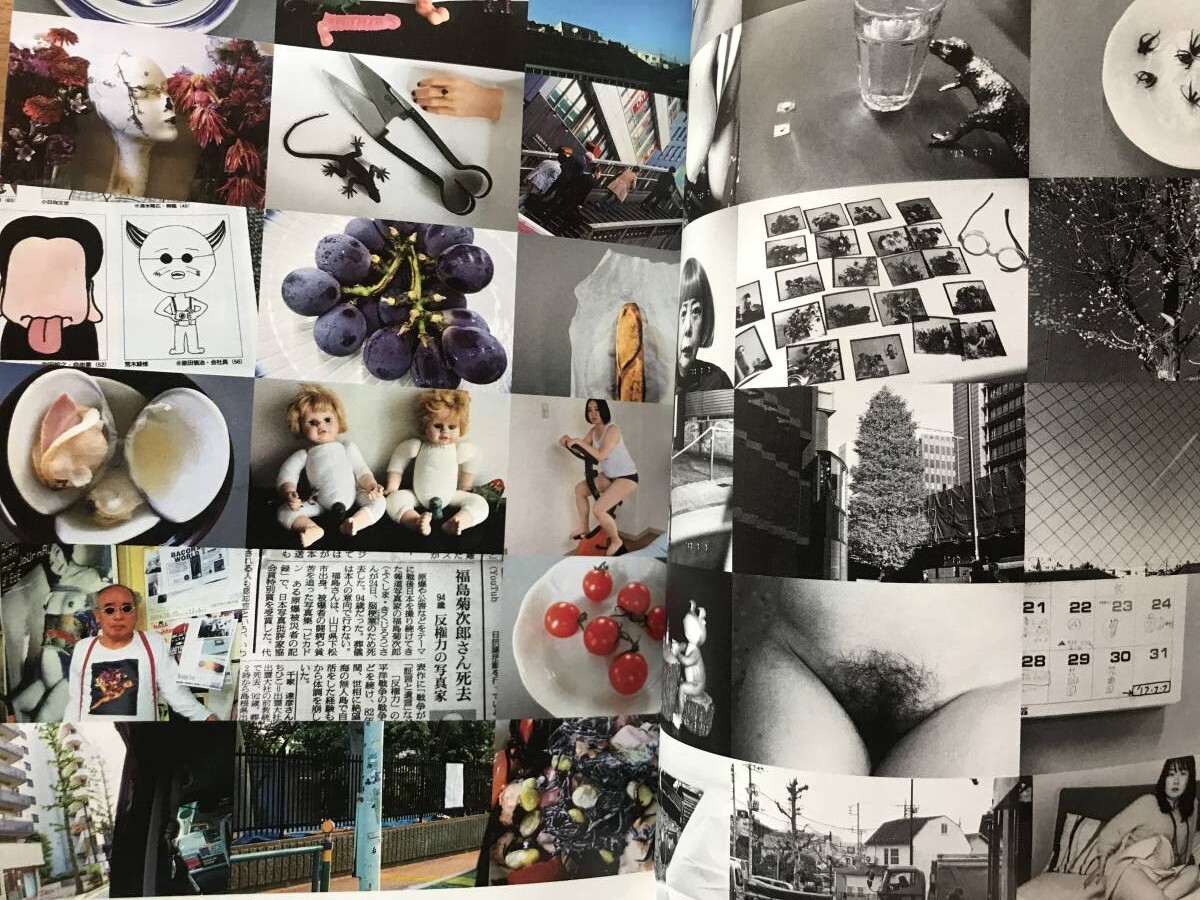 即決 美術手帖保存版 77年目のアラーキー 荒木経惟 Nobuyoshi Araki センチメンタルな旅 1971-2017/レディ・ガガ/写狂老人/花遊園/花幽園_画像5