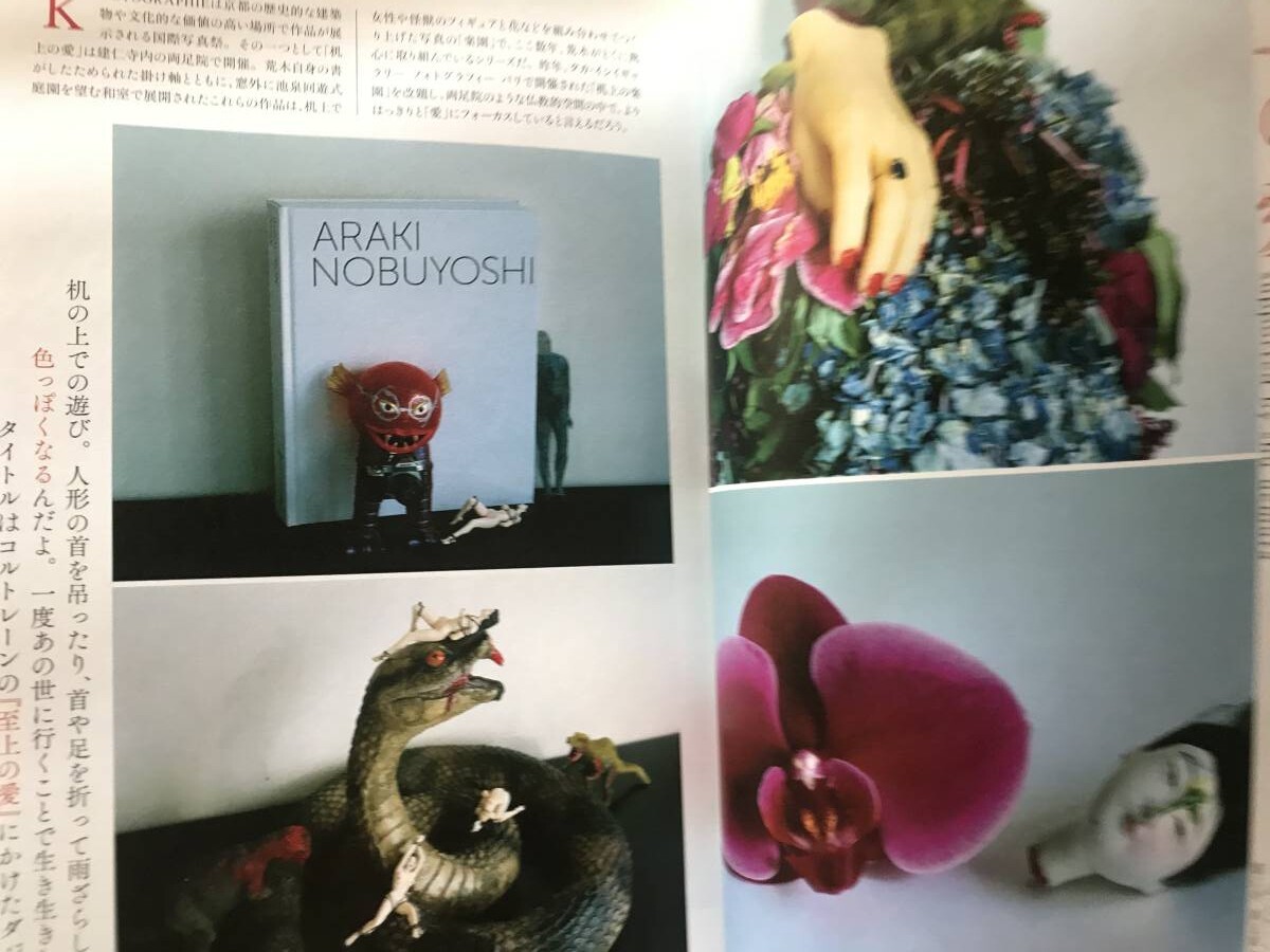 即決 美術手帖保存版 77年目のアラーキー 荒木経惟 Nobuyoshi Araki センチメンタルな旅 1971-2017/レディ・ガガ/写狂老人/花遊園/花幽園_画像7