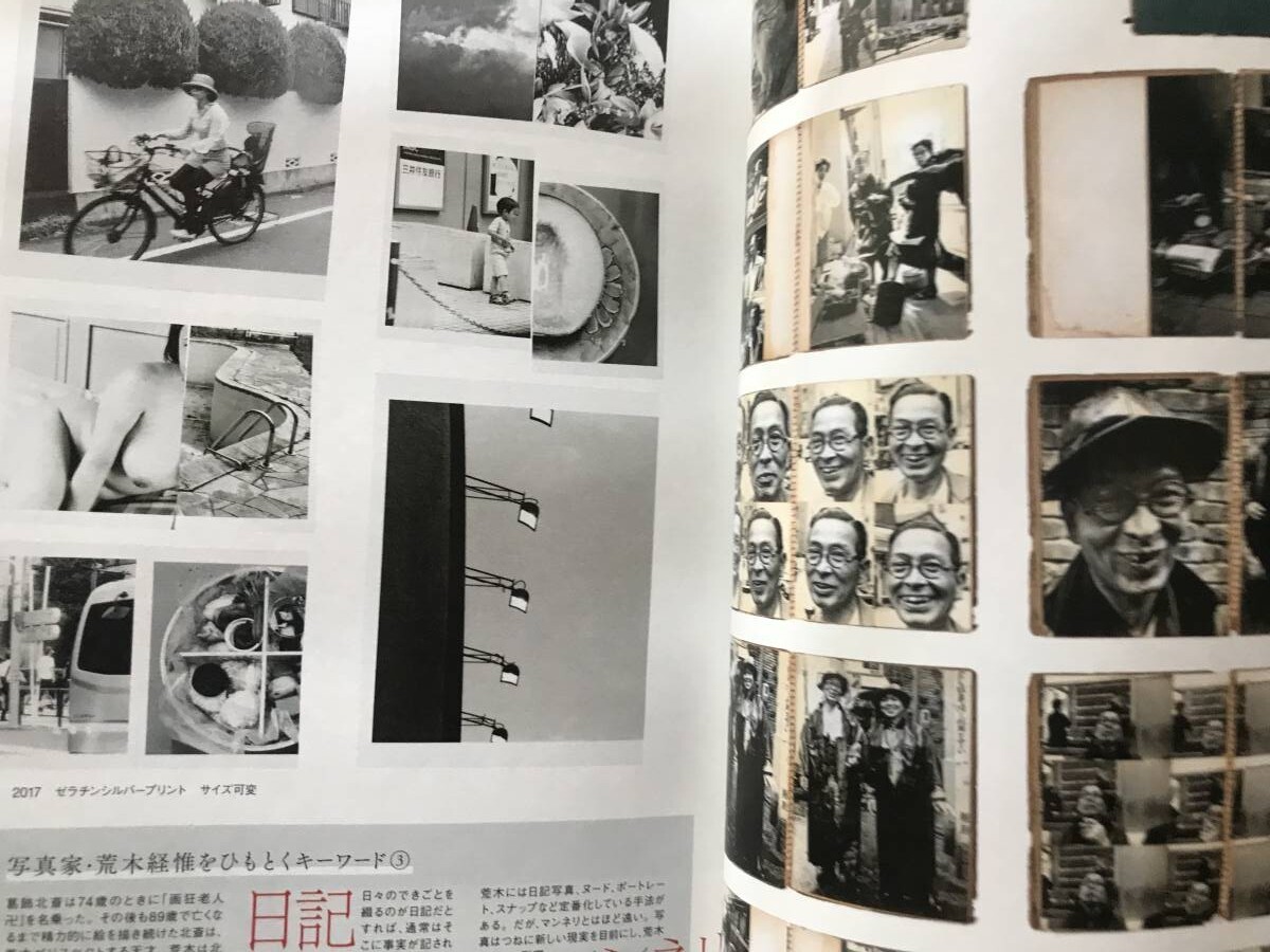 即決 美術手帖保存版 77年目のアラーキー 荒木経惟 Nobuyoshi Araki センチメンタルな旅 1971-2017/レディ・ガガ/写狂老人/花遊園/花幽園_画像8