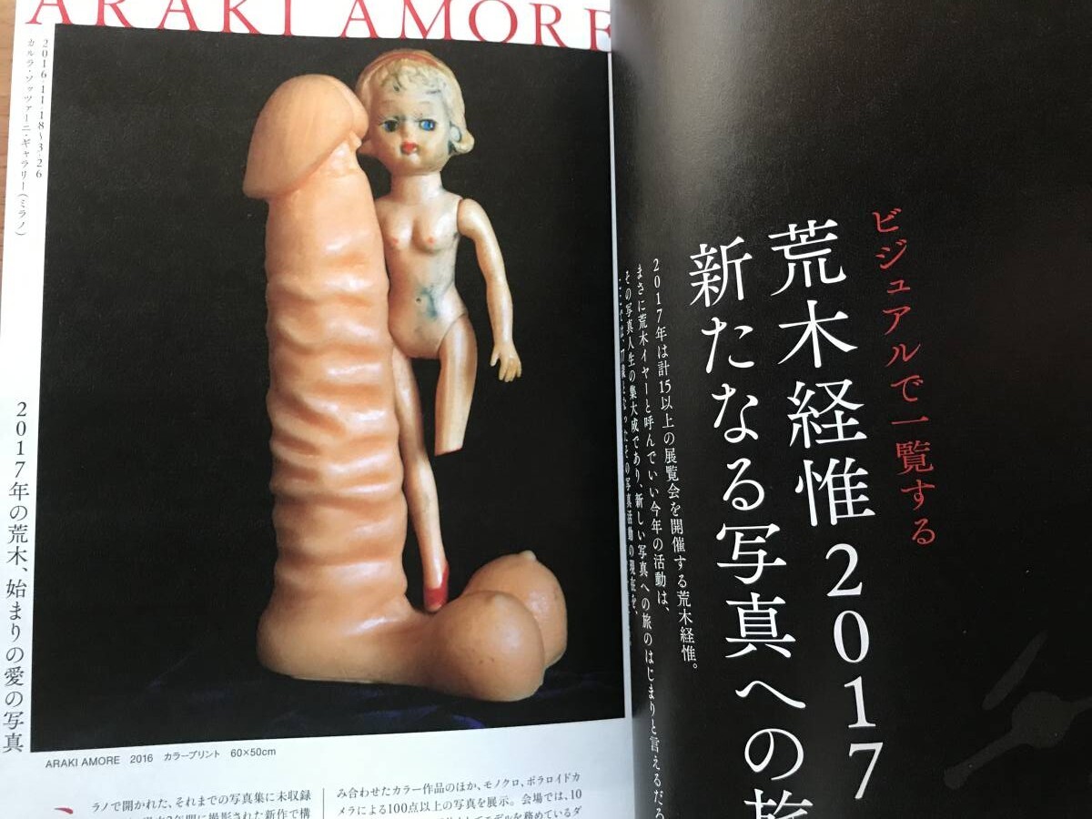 即決 美術手帖保存版 77年目のアラーキー 荒木経惟 Nobuyoshi Araki センチメンタルな旅 1971-2017/レディ・ガガ/写狂老人/花遊園/花幽園_画像9