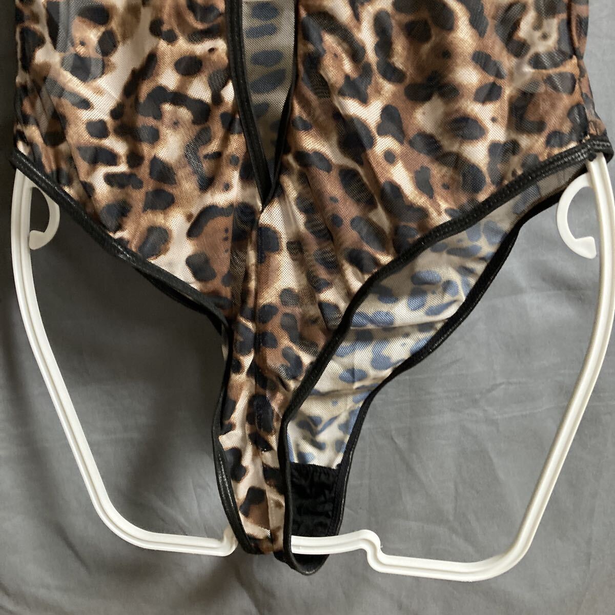 レオパード テディ3L _画像7