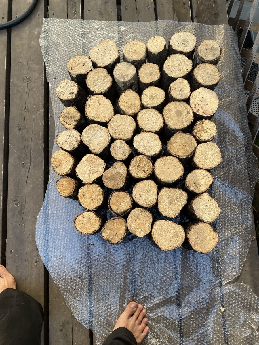 nala материал ③