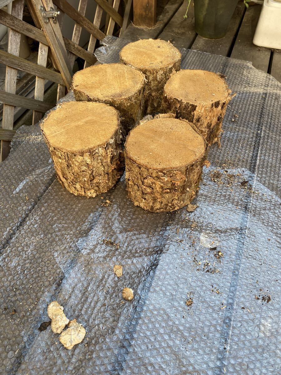  кожа la материал B