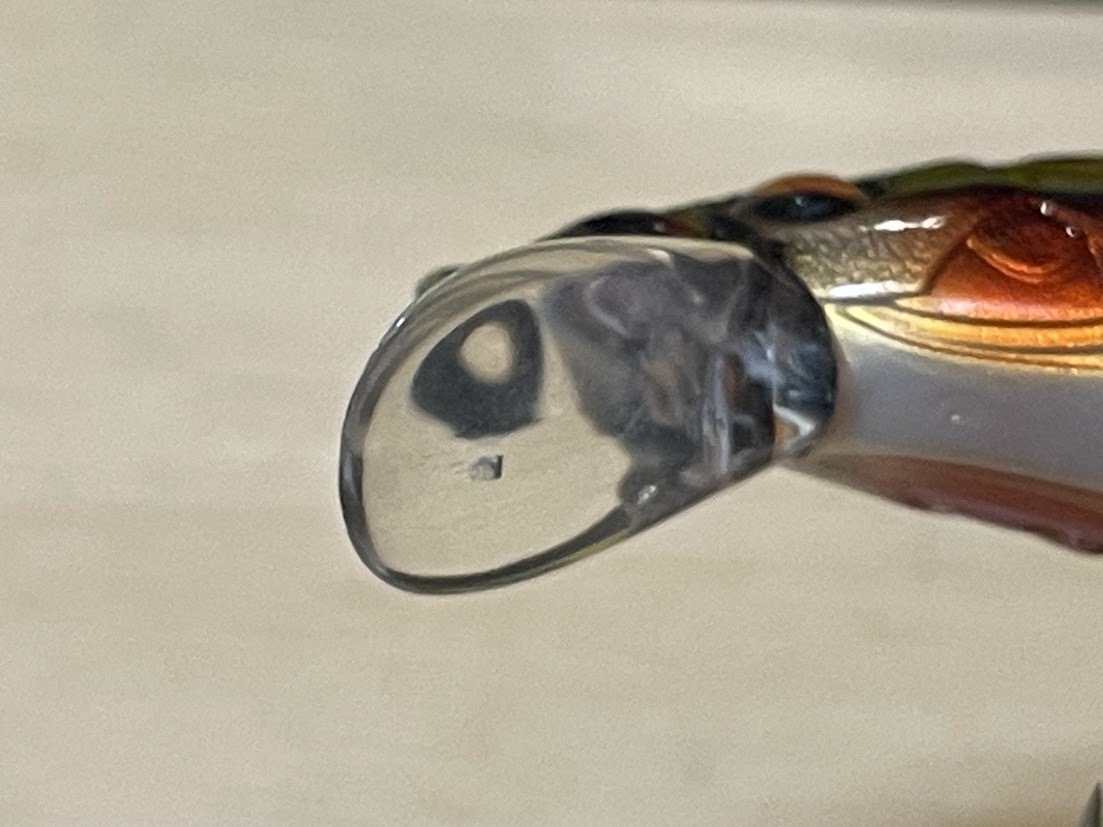 ★送料込み メガバス 30周年限定 婚姻ウグイ SP-C ワンテンX Megabass VISION 110 X_画像7