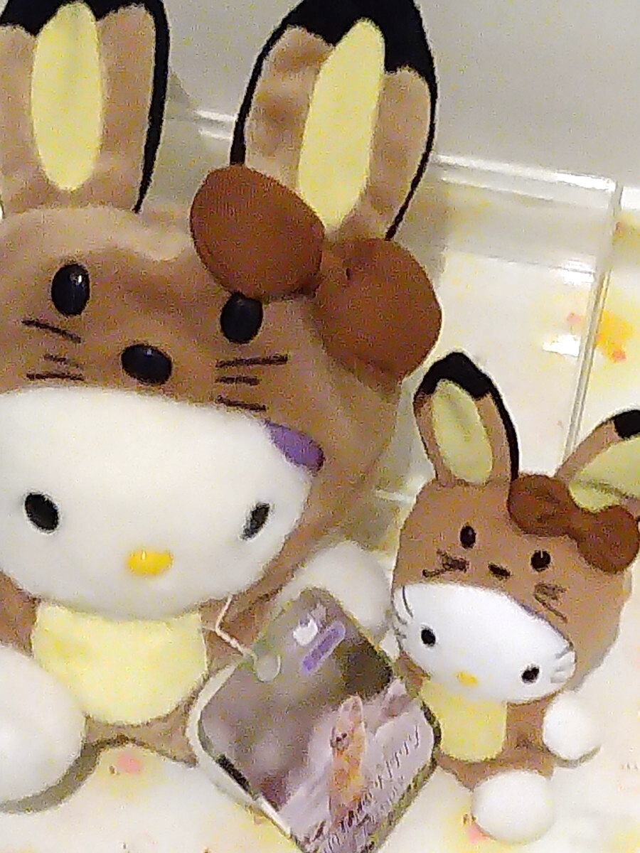 激レア　キティ　北海道限定　ラベンダー　エゾウサギ　ぬいぐるみ　2000年　タグ付き未使用品　おまけ付き_画像3