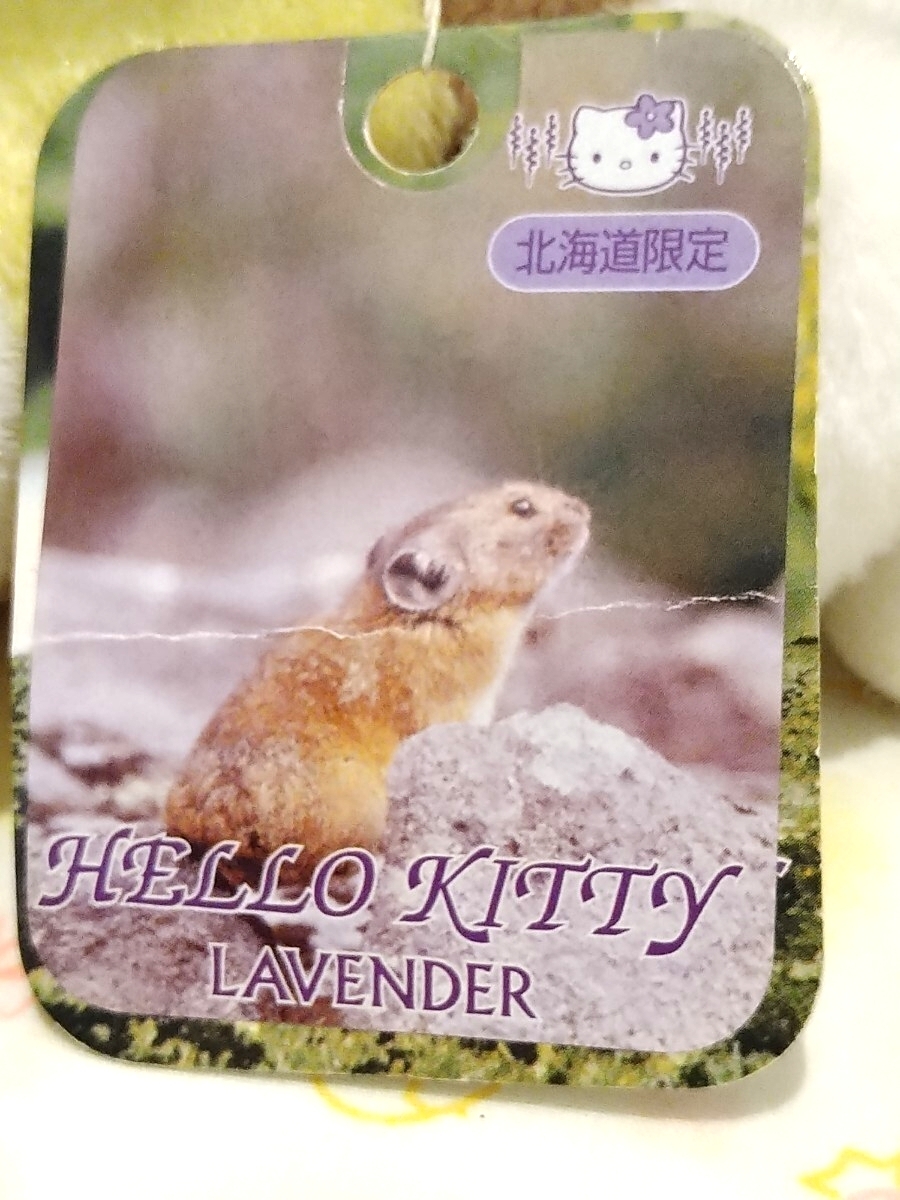 激レア　キティ　北海道限定　ラベンダー　エゾウサギ　ぬいぐるみ　2000年　タグ付き未使用品　おまけ付き_画像8