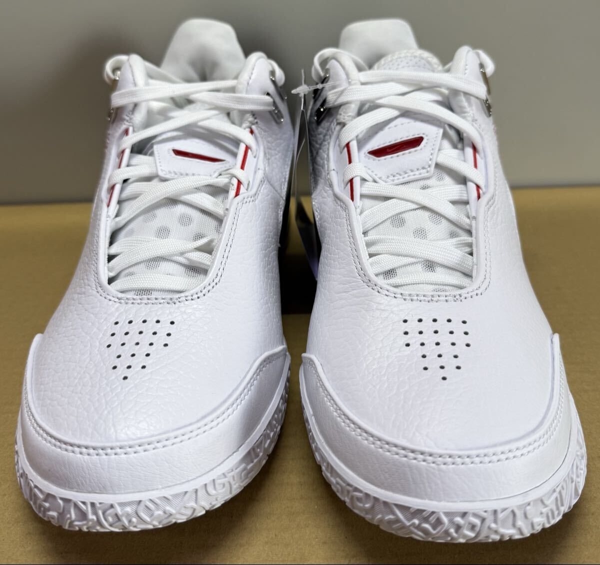 NIKE ナイキ ズーム レブロン LEBRON NXXT GEN AMPD バスケットボール 25cm_画像3