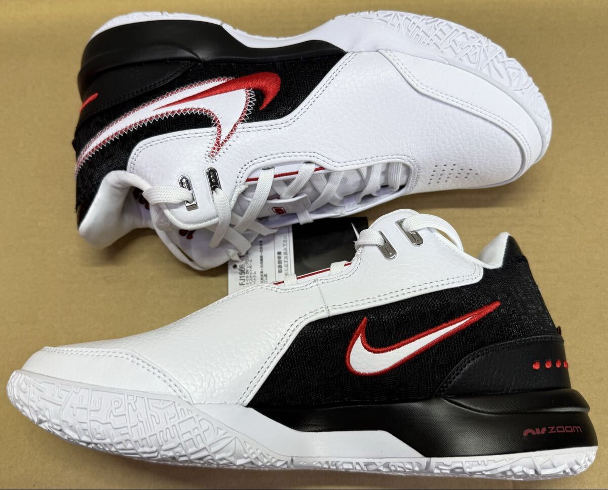 NIKE ナイキ ズーム レブロン LEBRON NXXT GEN AMPD バスケットボール 25cm_画像8