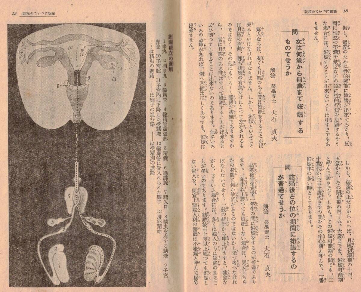 妊娠・出産・婦人の病気一切の相談　医学博士浅岡稲太郎石崎仲三郎大石貞夫中村身加榮小倉清太郎細野尚是織田良一島田廣下井哲二郎等生理　_画像6