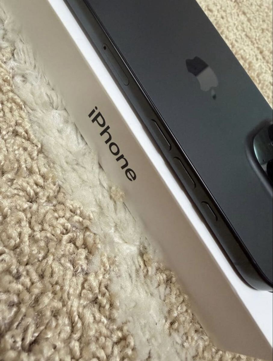 iPhone16Pro ブラックチタニウム Apple SIMフリー_画像8