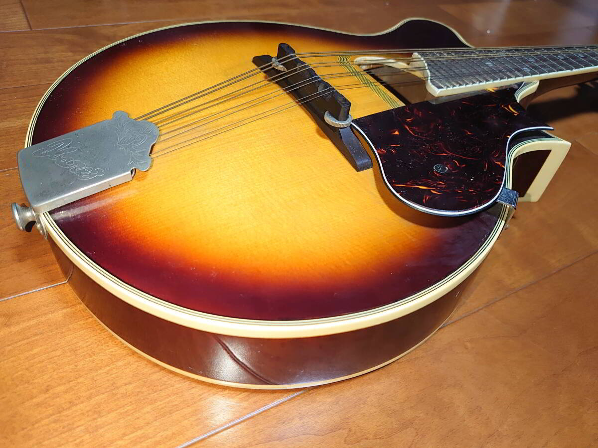 IBANEZ Ibanez Flat мандолина 513 очень редкий!