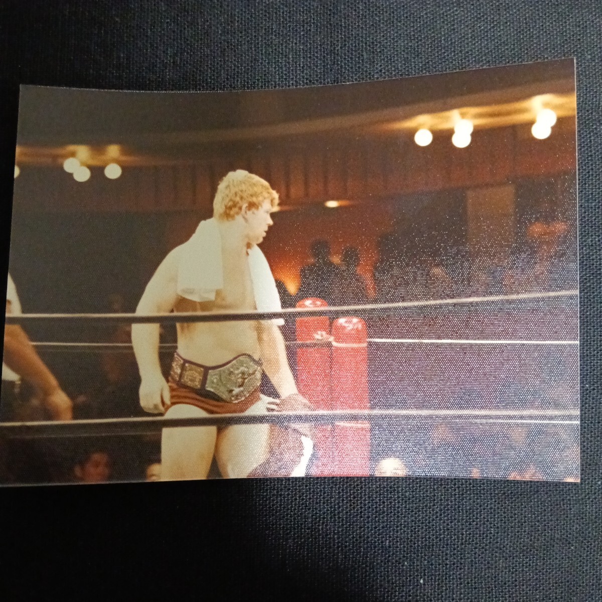 貴重生写真 1980年8月22日 東京・品川プリンスホテル アントニオ猪木VSボブ・バックランド 17枚セット_画像6