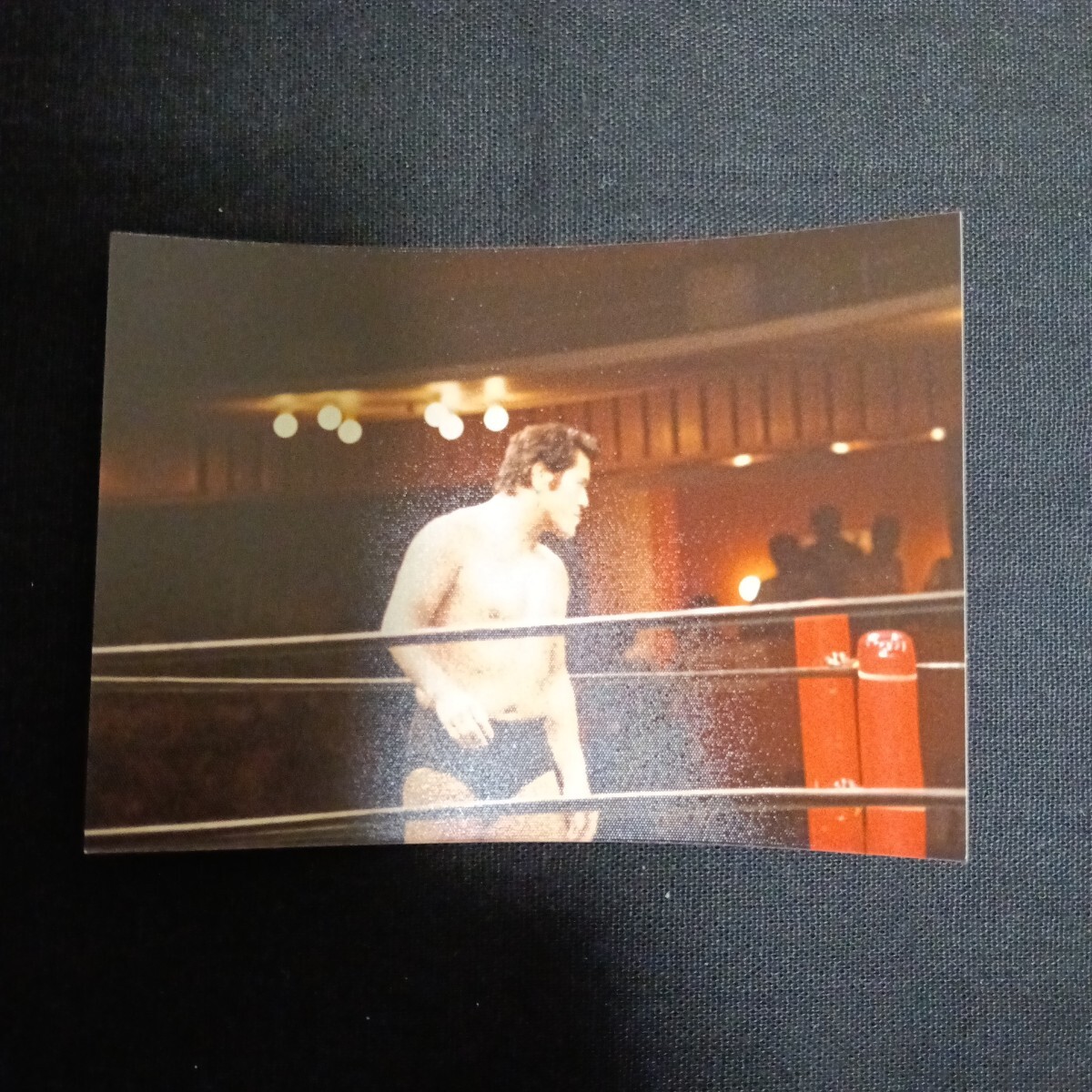 貴重生写真 1980年8月22日 東京・品川プリンスホテル アントニオ猪木VSボブ・バックランド 17枚セット_画像7