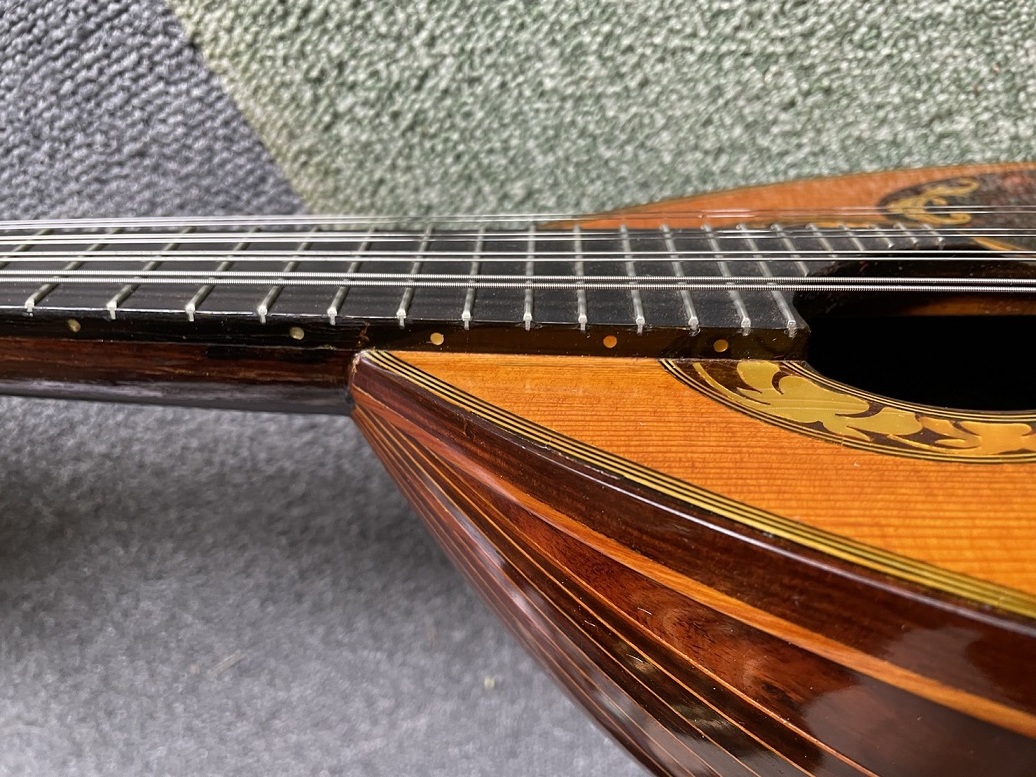  цвет che RAFFAELE CALACE мандолина 