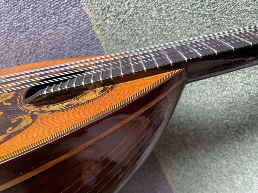  цвет che RAFFAELE CALACE мандолина 