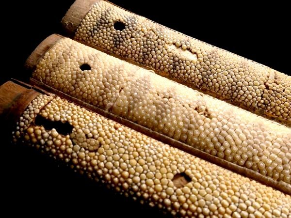  меч для много sama . размер. рисунок 3 пункт совместно общая длина : примерно 22.8cm др. . кожа шарик. большой родители . есть .. конструкция . а Вы как? осмотр : меч .[ дешево цена . departure ]k441