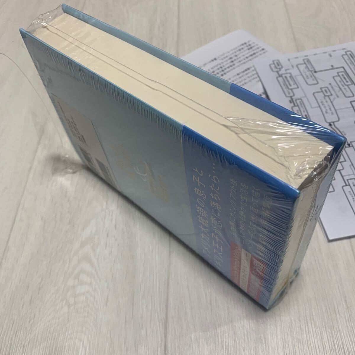 初版★赤と白とロイヤルブルー★コレクターズ・エディション★非売品 限定 缶バッジ★特典 ポストカード 3種★非売品 フリーペーパー 3種_画像6