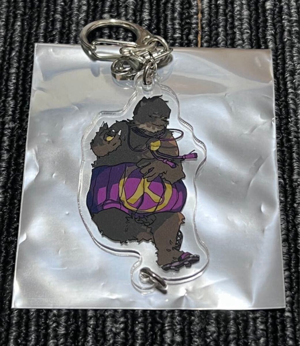 mi Nami notsudoi акрил брелок для ключа .. Chan 