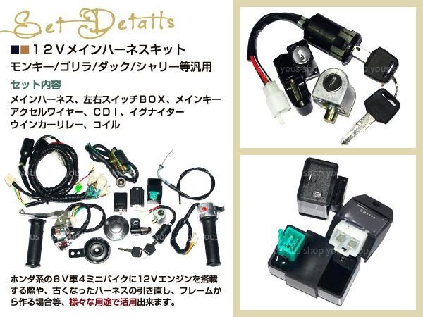 モンキー ゴリラ ダックス カブ 12v ハーネスセット 4miniバイク_画像2