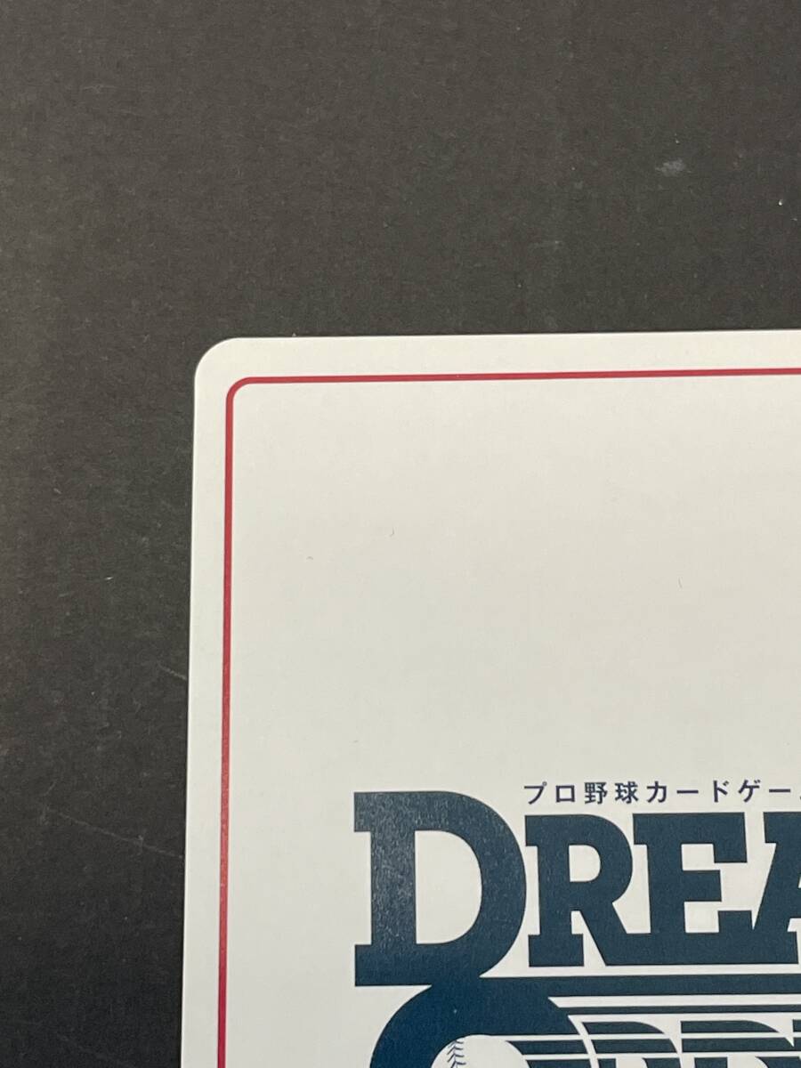 137-F42) Dream заказ тубус ...SP CBP03-DB02 2024 Professional Baseball карты 
